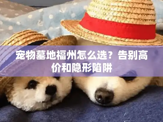 宠物墓地福州怎么选？告别高价和隐形陷阱