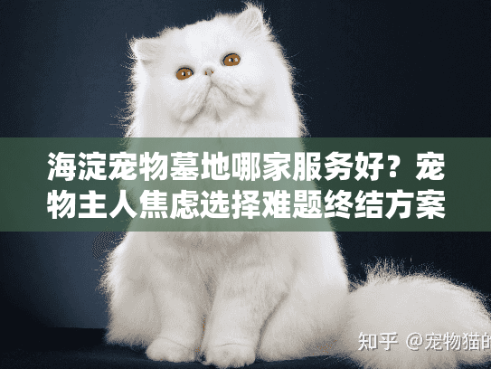 海淀宠物墓地哪家服务好？宠物主人焦虑选择难题终结方案