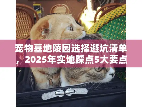 宠物墓地陵园选择避坑清单，2025年实地踩点5大要点