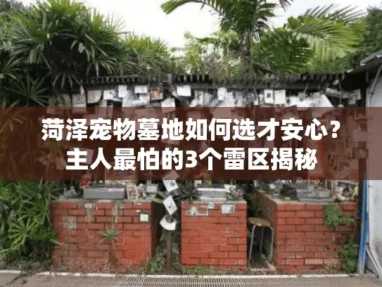 菏泽宠物墓地如何选才安心？主人最怕的3个雷区揭秘