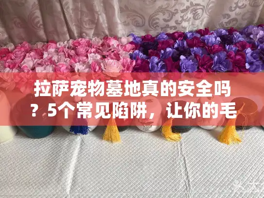 拉萨宠物墓地真的安全吗？5个常见陷阱，让你的毛孩子安息无忧