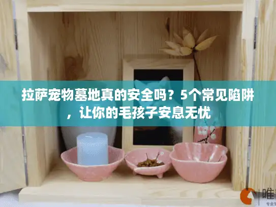 拉萨宠物墓地真的安全吗？5个常见陷阱，让你的毛孩子安息无忧