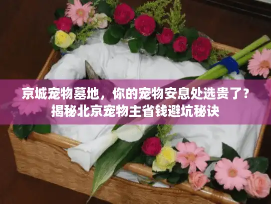 京城宠物墓地，你的宠物安息处选贵了？揭秘北京宠物主省钱避坑秘诀
