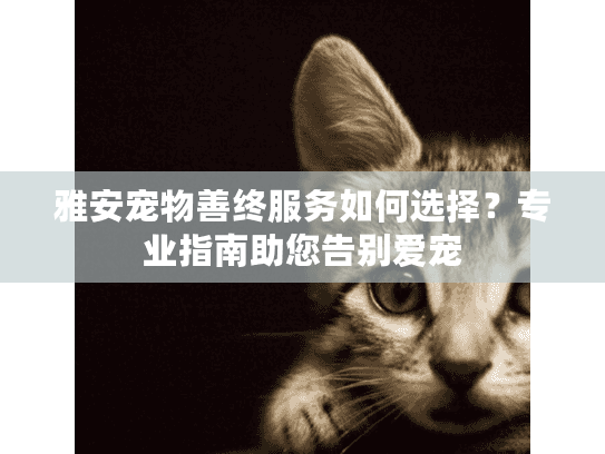 雅安宠物善终服务如何选择？专业指南助您告别爱宠