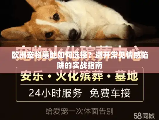欧洲宠物墓地如何选择？避开常见情感陷阱的实战指南