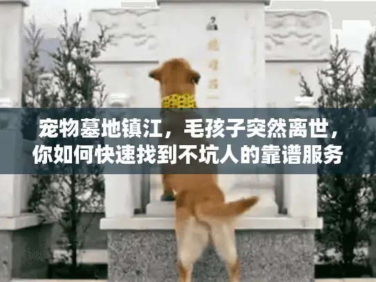 宠物墓地镇江，毛孩子突然离世，你如何快速找到不坑人的靠谱服务？