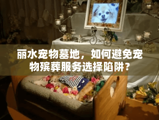 丽水宠物墓地，如何避免宠物殡葬服务选择陷阱？