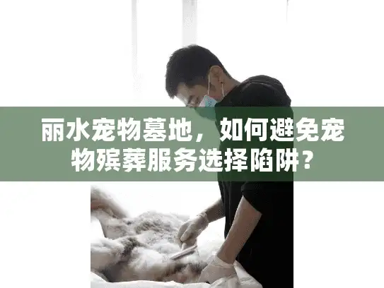 丽水宠物墓地，如何避免宠物殡葬服务选择陷阱？