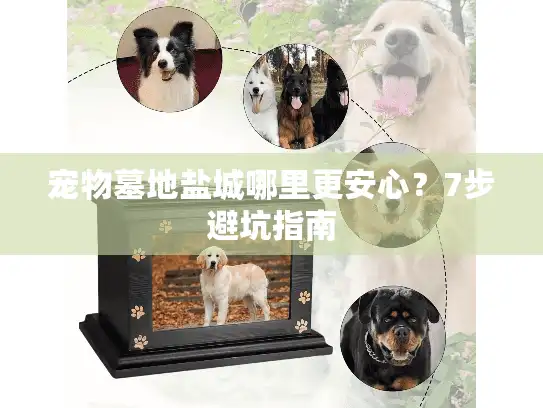 宠物墓地盐城哪里更安心？7步避坑指南