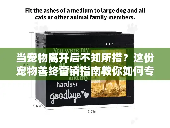 当宠物离开后不知所措?这份宠物善终营销指南教你如何专业告别 当宠物离开后不知所措?这份宠物善终营销指南教你如何专业告别