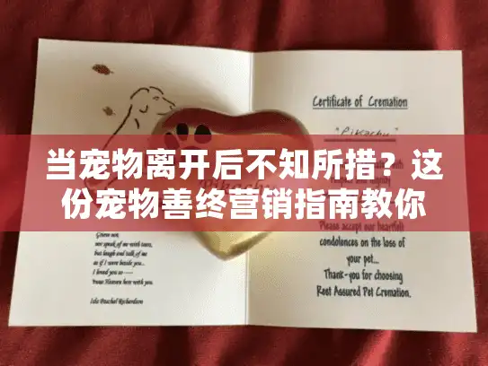 当宠物离开后不知所措?这份宠物善终营销指南教你如何专业告别 当宠物离开后不知所措?这份宠物善终营销指南教你如何专业告别
