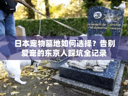 日本宠物墓地如何选择？告别爱宠的东京人踩坑全记录