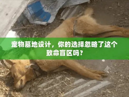 宠物墓地设计,你的选择忽略了这个致命盲区吗? 宠物墓地设计,你的选择忽略了这个致命盲区吗?