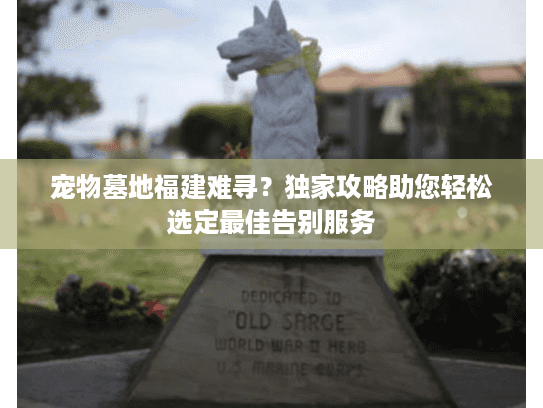 宠物墓地福建难寻?独家攻略助您轻松选定最佳告别服务 宠物墓地福建难寻?独家攻略助您轻松选定最佳告别服务