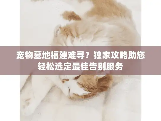 宠物墓地福建难寻?独家攻略助您轻松选定最佳告别服务 宠物墓地福建难寻?独家攻略助您轻松选定最佳告别服务