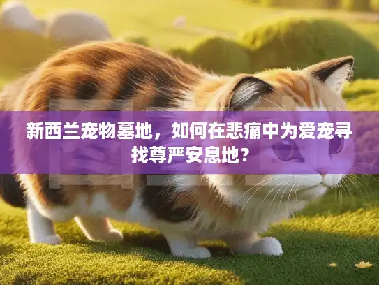 新西兰宠物墓地,如何在悲痛中为爱宠寻找尊严安息地? 新西兰宠物墓地,如何在悲痛中为爱宠寻找尊严安息地?