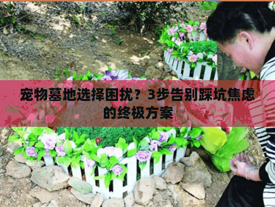 宠物墓地选择困扰？3步告别踩坑焦虑的终极方案