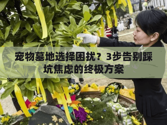 宠物墓地选择困扰？3步告别踩坑焦虑的终极方案