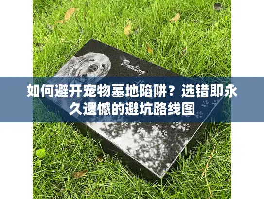 如何避开宠物墓地陷阱?选错即永久遗憾的避坑路线图 如何避开宠物墓地陷阱?选错即永久遗憾的避坑路线图