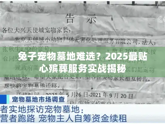 兔子宠物墓地难选？2025最贴心殡葬服务实战揭秘