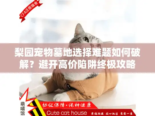 梨园宠物墓地选择难题如何破解？避开高价陷阱终极攻略