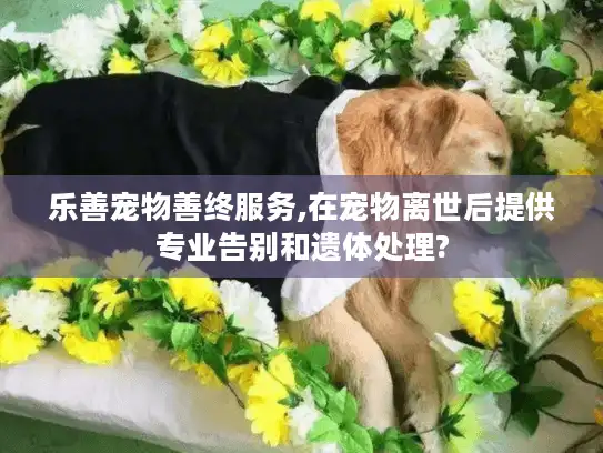 乐善宠物善终服务,在宠物离世后提供专业告别和遗体处理? 乐善宠物善终服务,在宠物离世后提供专业告别和遗体处理?