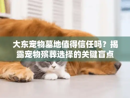 大东宠物墓地值得信任吗?揭露宠物殡葬选择的关键盲点 大东宠物墓地值得信任吗?揭露宠物殡葬选择的关键盲点