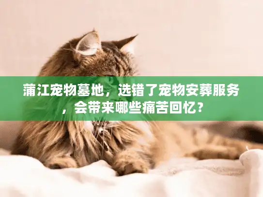 蒲江宠物墓地，选错了宠物安葬服务，会带来哪些痛苦回忆？