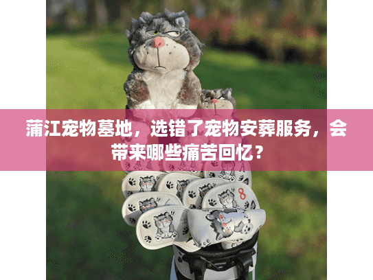 蒲江宠物墓地，选错了宠物安葬服务，会带来哪些痛苦回忆？