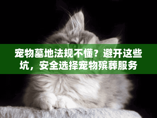 宠物墓地法规不懂？避开这些坑，安全选择宠物殡葬服务