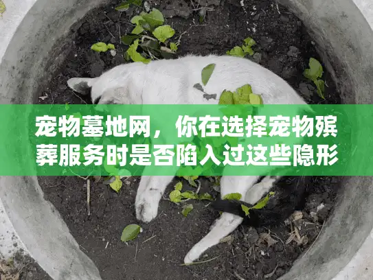 宠物墓地网,你在选择宠物殡葬服务时是否陷入过这些隐形陷阱? 宠物墓地网,你在选择宠物殡葬服务时是否陷入过这些隐形陷阱?