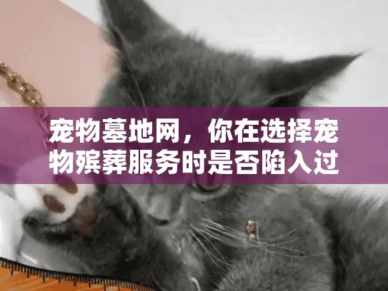 宠物墓地网,你在选择宠物殡葬服务时是否陷入过这些隐形陷阱? 宠物墓地网,你在选择宠物殡葬服务时是否陷入过这些隐形陷阱?