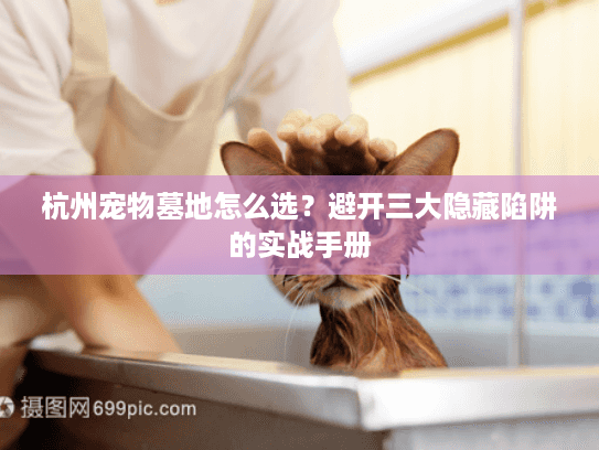 杭州宠物墓地怎么选？避开三大隐藏陷阱的实战手册