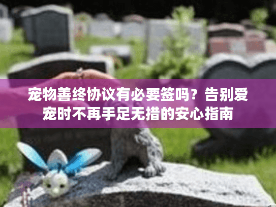 宠物善终协议有必要签吗？告别爱宠时不再手足无措的安心指南