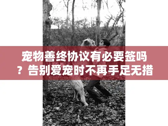 宠物善终协议有必要签吗？告别爱宠时不再手足无措的安心指南