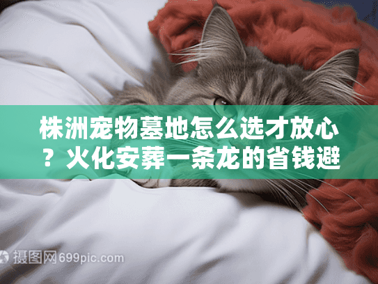 株洲宠物墓地怎么选才放心？火化安葬一条龙的省钱避坑手册