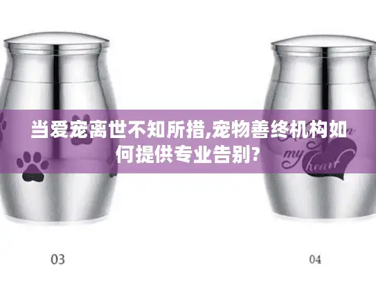 当爱宠离世不知所措,宠物善终机构如何提供专业告别? 当爱宠离世不知所措,宠物善终机构如何提供专业告别?