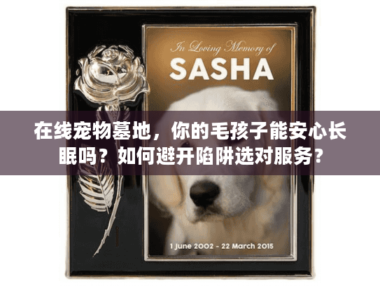 在线宠物墓地，你的毛孩子能安心长眠吗？如何避开陷阱选对服务？