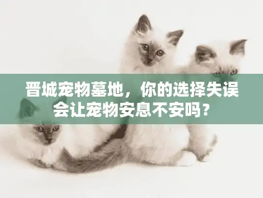 晋城宠物墓地，你的选择失误会让宠物安息不安吗？