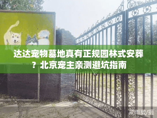 达达宠物墓地真有正规园林式安葬？北京宠主亲测避坑指南