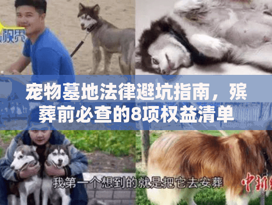 宠物墓地法律避坑指南，殡葬前必查的8项权益清单