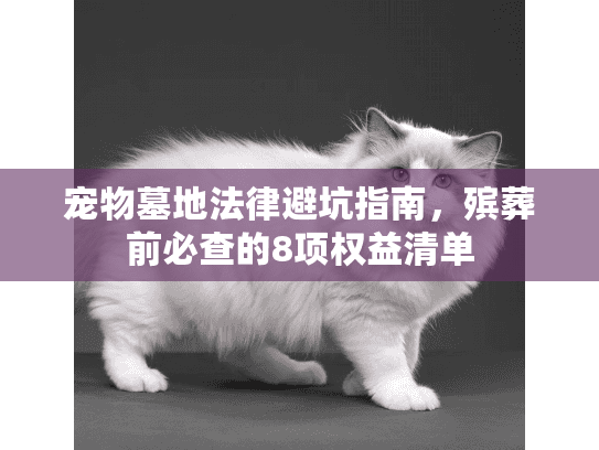 宠物墓地法律避坑指南，殡葬前必查的8项权益清单