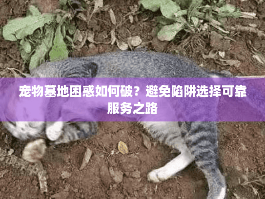 宠物墓地困惑如何破？避免陷阱选择可靠服务之路