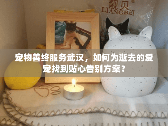 宠物善终服务武汉，如何为逝去的爱宠找到贴心告别方案？