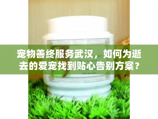 宠物善终服务武汉，如何为逝去的爱宠找到贴心告别方案？