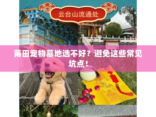 莆田宠物墓地选不好?避免这些常见坑点! 莆田宠物墓地选不好?避免这些常见坑点!