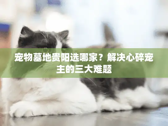 宠物墓地贵阳选哪家？解决心碎宠主的三大难题