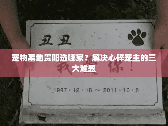 宠物墓地贵阳选哪家？解决心碎宠主的三大难题
