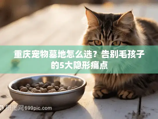 重庆宠物墓地怎么选？告别毛孩子的5大隐形痛点