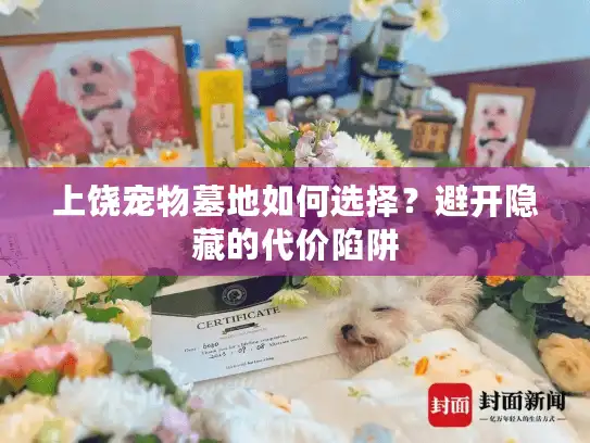 上饶宠物墓地如何选择？避开隐藏的代价陷阱